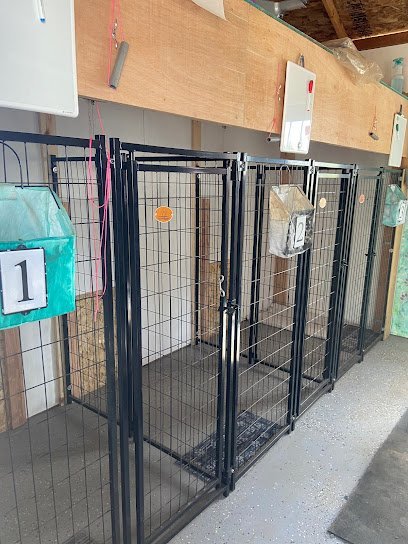 Dog day care in Onalaska Washington Skylla Training Services 1