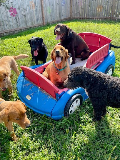 Dog day care in Osceola Wisconsin County Line K 9 Resort 1