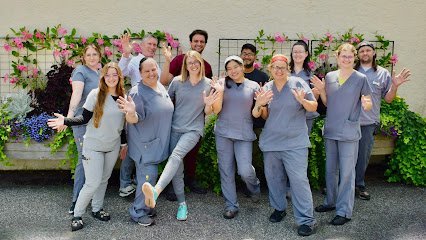 Dog day care in Paoli Pennsylvania Paoli Vetcare Main Line Vet Animal Hospital 1