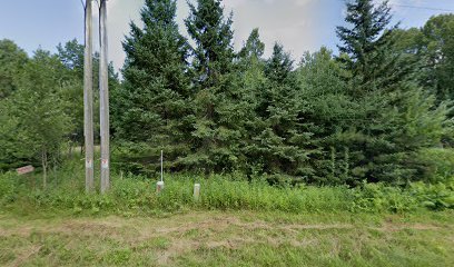 Dog day care in Park Falls Wisconsin Barking Bungalow 1