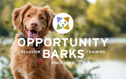 Dog day care in Philadelphia Pennsylvania Opportunity Barks Behavior Training 1