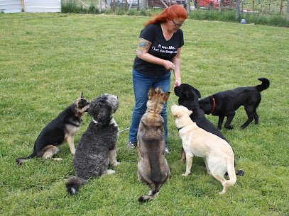 Dog day care in Piney River Virginia Camp Merricks 1