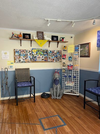 Dog day care in Pipersville Pennsylvania Bedminster Canine Kamp 1