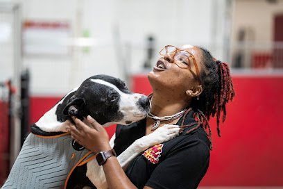 Dog day care in Pittsburgh Pennsylvania The Dog Stop West Liberty South Hills Pittsburgh 1