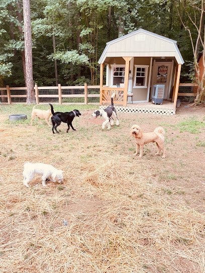 Dog day care in Powhatan Virginia Powhatan Paws Pet Sitting 1