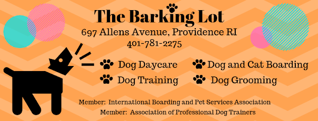 Dog day care in Providence Rhode Island The Barking Lot 1