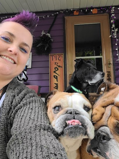 Dog day care in Pursglove West Virginia Toe Beans Stay and Play 1