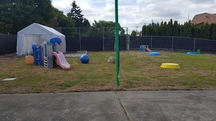 Dog day care in Puyallup Washington Hot Diggity Dog Doggie Daycare 1
