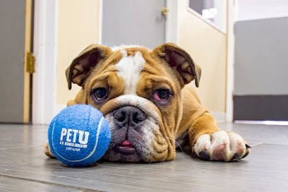 Dog day care in Racine Wisconsin PetU Racine 1