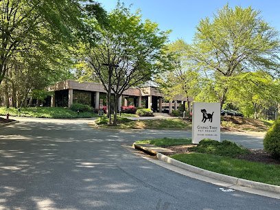 Dog day care in Reston Virginia Giving Tree Pet Resort Grooming 1