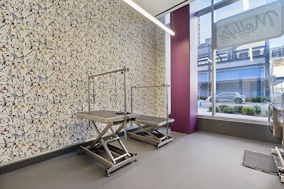 Dog day care in Reston Virginia Molly s Dog Care Reston 1