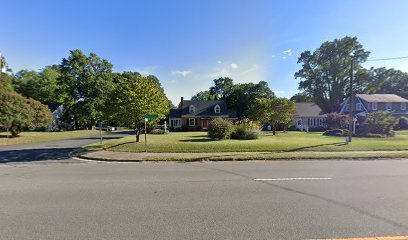 Dog day care in Richmond Virginia Richmond Va Dog Walking 1