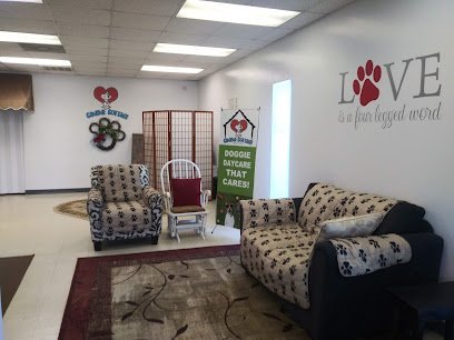 Dog day care in Roanoke Virginia Canine Cottage Roanoke 1