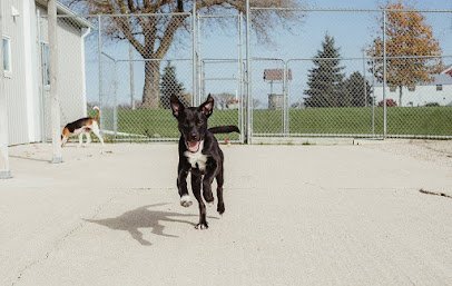 Dog day care in Rosendale Wisconsin Kritter Kastle LLC 1