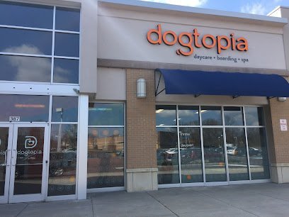 Dog day care in Royersford Pennsylvania Dogtopia of Limerick 1