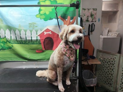 Dog day care in Salt Lake City Utah Diggity Dog Resort 1