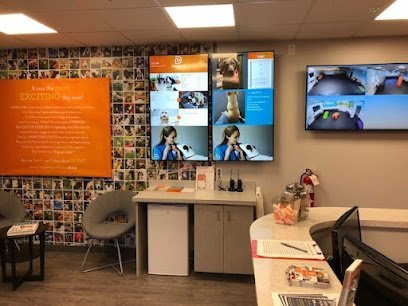 Dog day care in Salt Lake City Utah Dogtopia of Holladay 1