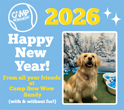 Dog day care in Sandy Utah Camp Bow Wow Sandy 1