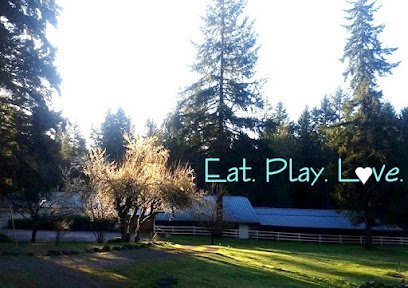 Dog day care in Seabeck Washington Camp Union Pet Lodge 1