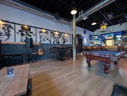 Dog day care in Seattle Washington BoneYard Dog Daycare Boarding 1