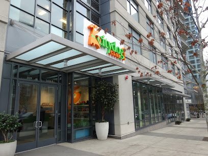 Dog day care in Seattle Washington Citydog Club 1