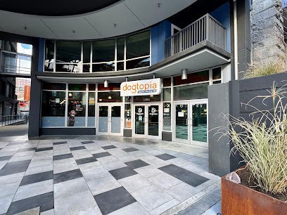 Dog day care in Seattle Washington Dogtopia of Harbor Steps 1