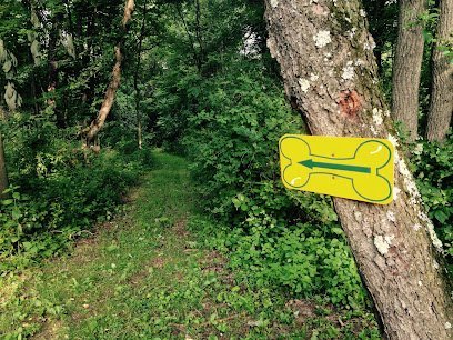 Dog day care in Sewickley Pennsylvania Misty Pines Dog Park Co 1