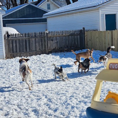 Dog day care in Sheboygan Wisconsin Pecher Pets 1