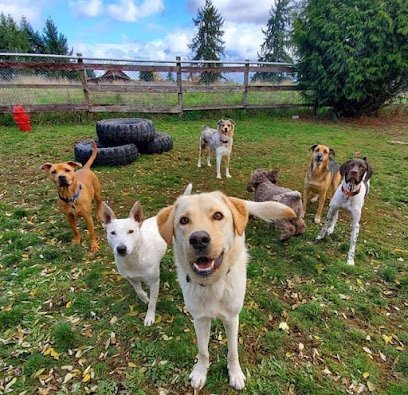 Dog day care in Spanaway Washington Brittney s Dog House LLC 1
