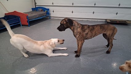 Dog day care in Sparta Wisconsin Marcie s Country Pet Spa 1