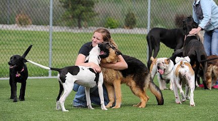 Dog day care in Spokane Valley Washington K9 Country Club Pet Center 1
