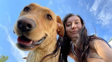 Dog day care in Spokane Valley Washington Paradise Pet Resort 1