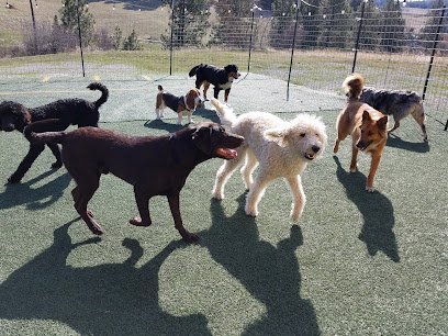 Dog day care in Spokane Washington Palouse Pooch Playground 1