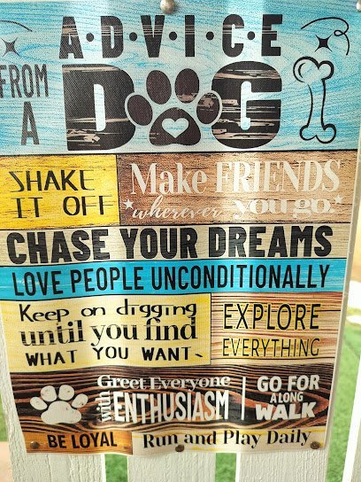 Dog day care in Spotsylvania Courthouse Virginia Paw Palace @ Lake Anna 1