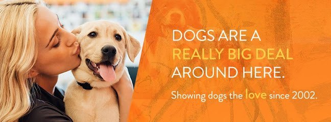 Dog day care in Springfield Virginia Dogtopia of Springfield 1