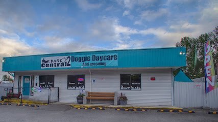 Dog day care in Tacoma Washington Bark Central llc 1