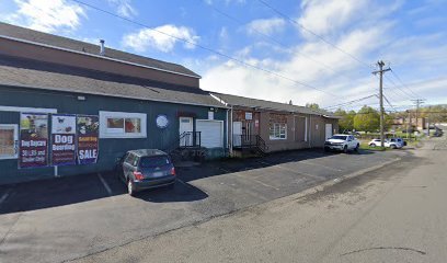 Dog day care in Tacoma Washington Mini Mutts Canine Social Club 1