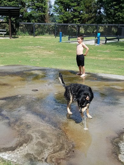 Dog day care in Timmonsville South Carolina Glenview Farm Kennel 1