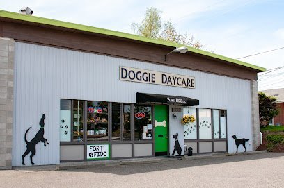 Dog day care in University Place Washington Fort Fido 1