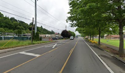 Dog day care in Vancouver Washington Tails R Waggin Doggy Day Care 1