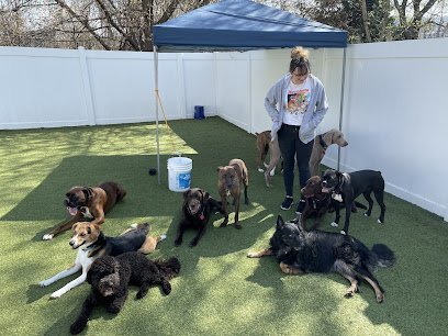 Dog day care in Vanport Pennsylvania Canine Kingdom 1