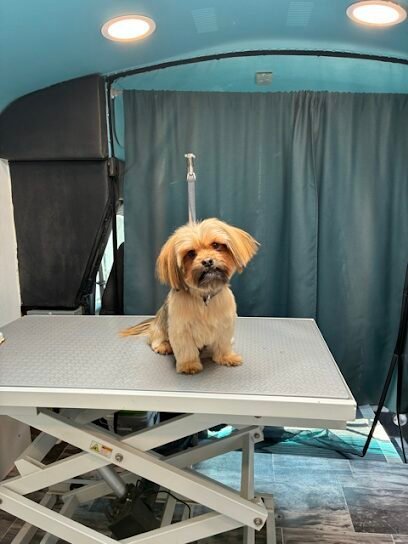 Dog day care in Walla Walla Washington Wishbone Doggy Daycare Mobile Grooming 1