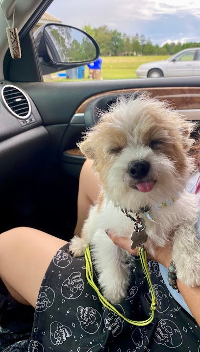 Dog day care in Walterboro South Carolina Wags 2 Riches 1