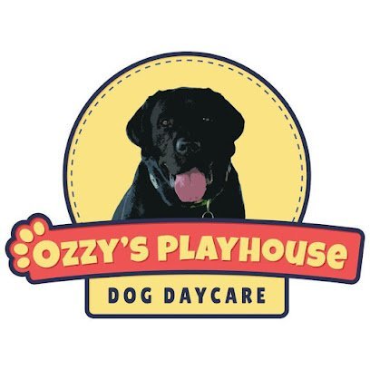 Dog day care in Warwick Rhode Island Ozzy s Playhouse 1