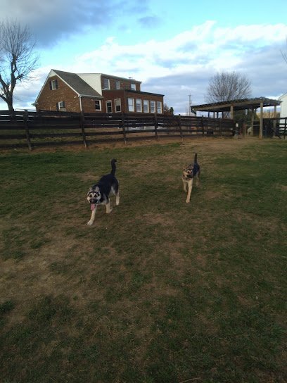 Dog day care in Waynesboro Virginia Home Away From Home Dog Boarding 1