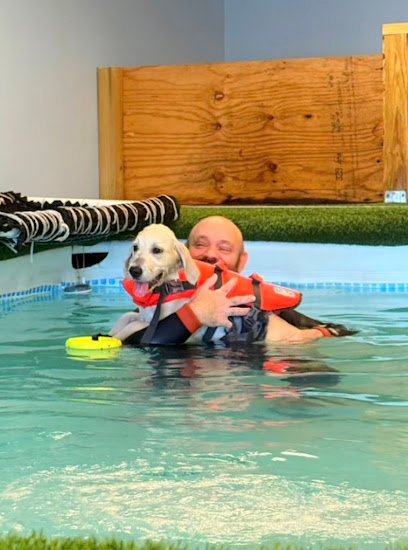 Dog day care in West Warwick Rhode Island K9 Bay Doggy Daycare and Aquatic Center 1