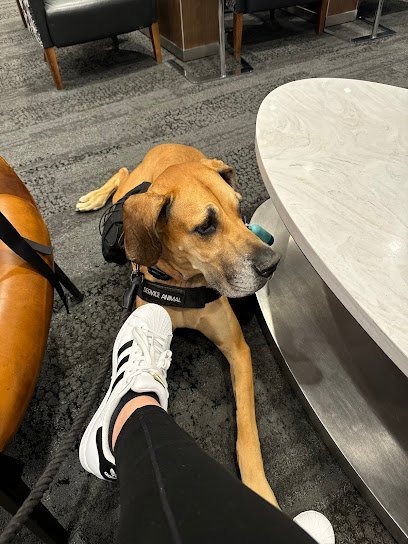 Dog day care in Woods Cross Utah Ruffin It Dog Boarding 1