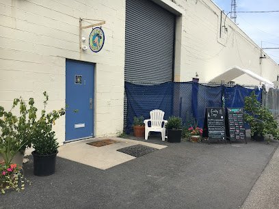 Dog day care in Wyndmoor Pennsylvania Lucky Dogz 1