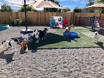 Dog day care in Yakima Washington Pomona Pet Services 1